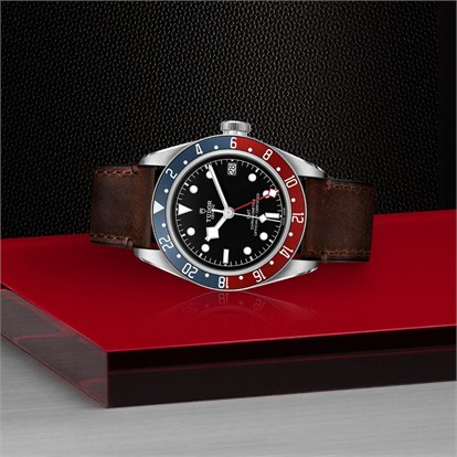 Tudor Black Bay