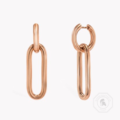 Havana Drop Earrings