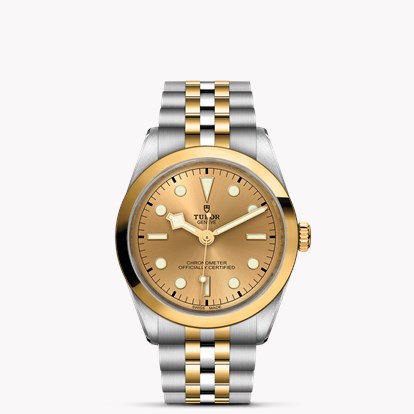 Tudor Black Bay
