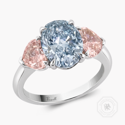 Masterpiece Venus Setting 2.90ct Fany Blue-Grey Diamond and Pink Diamond Ring