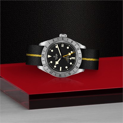 Tudor Black Bay