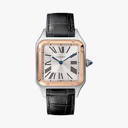 Cartier Santos-Dumont W2SA0011