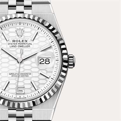 Land-Dweller 36, Oyster, 36 mm, Oystersteel and white gold watch