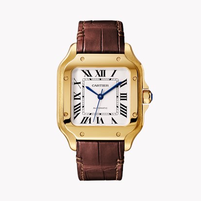 Cartier Santos de Cartier