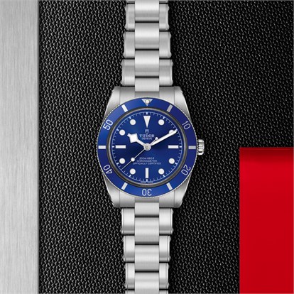 Tudor Black Bay 54