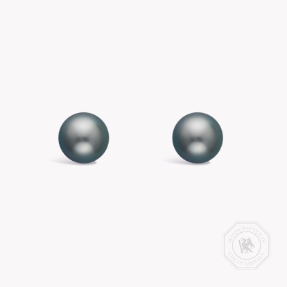 Tahitian Pearl Stud Earrings