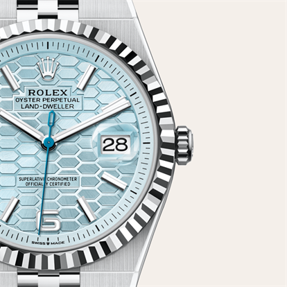 Land-Dweller 40, Oyster, 40 mm, platinum watch