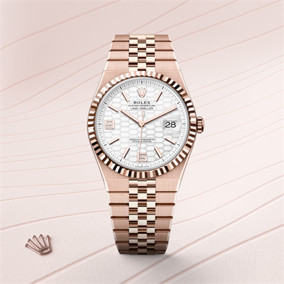 Land-Dweller 40, Oyster, 40 mm, Everose gold watch