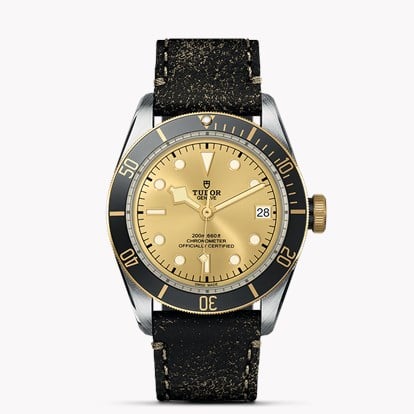 Tudor Black Bay S&G M79733N-0003