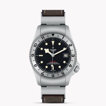 Tudor Black Bay P01 M70150-0001