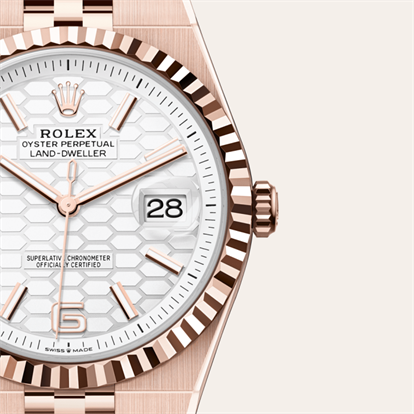 Land-Dweller 40, Oyster, 40 mm, Everose gold watch