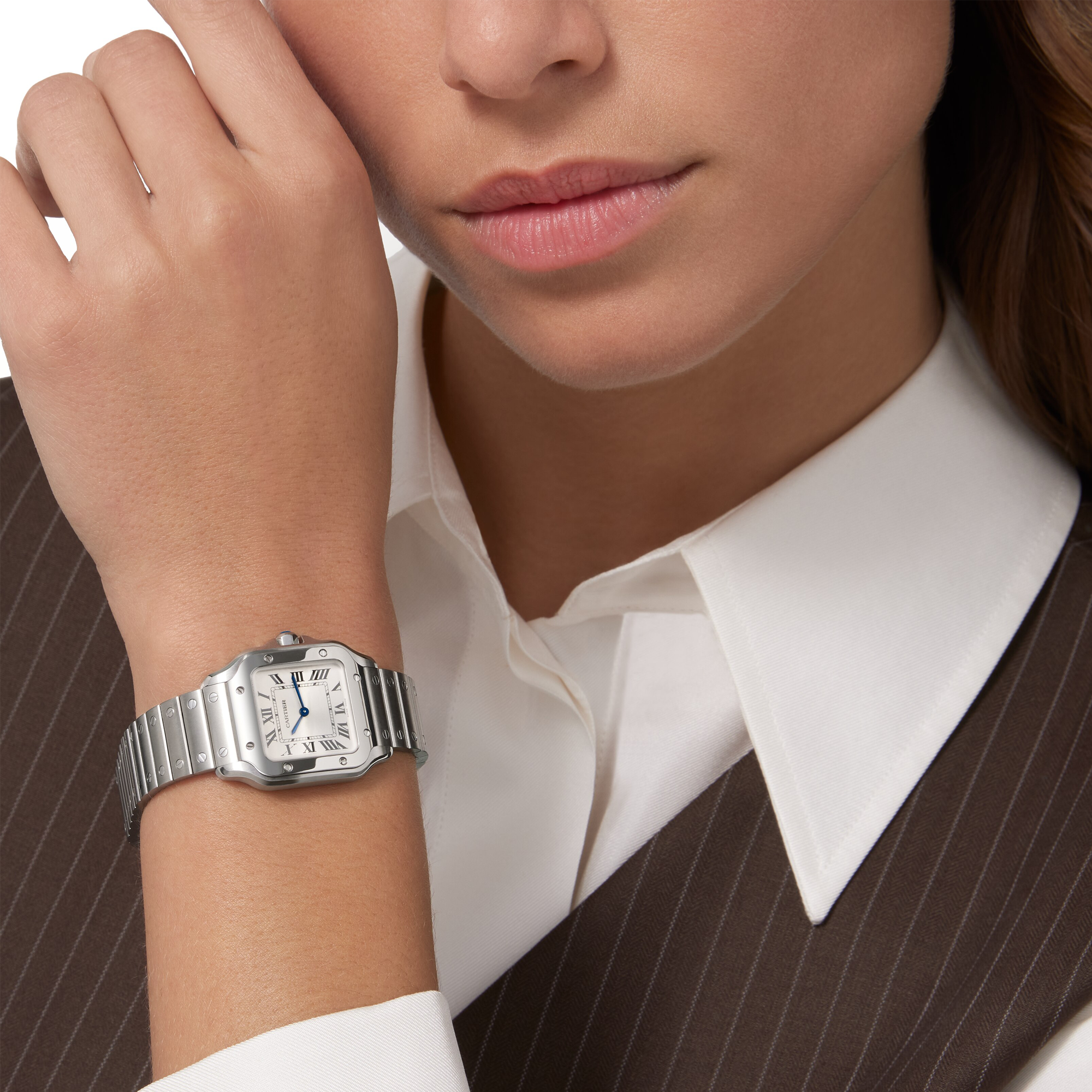 Cartier Santos de Cartier Small, Silver Dial, Roman Numerals_10