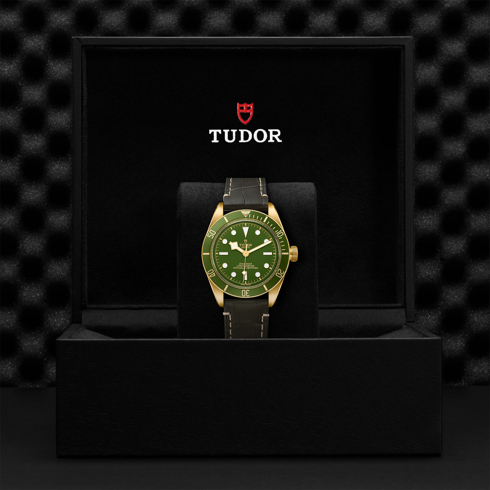 Tudor Black Bay Fifty-Eight 18K 39mm, Green Dial, Baton Markers_5