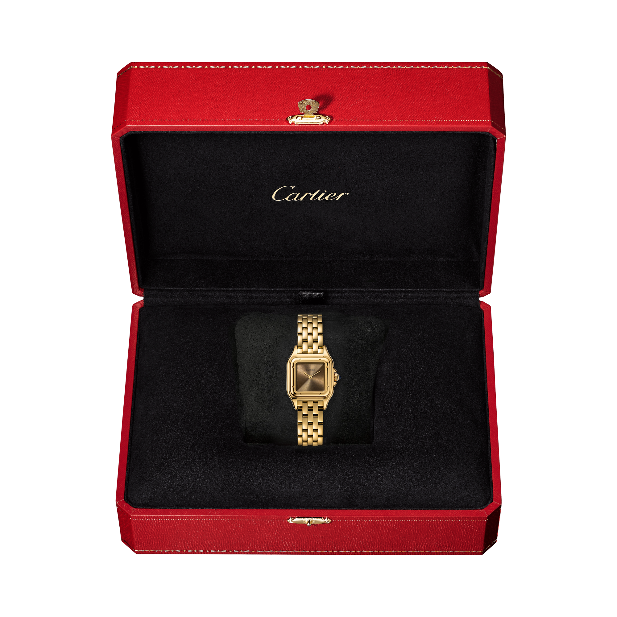 Cartier Panthere de Cartier 22mm, Brown Dial_5