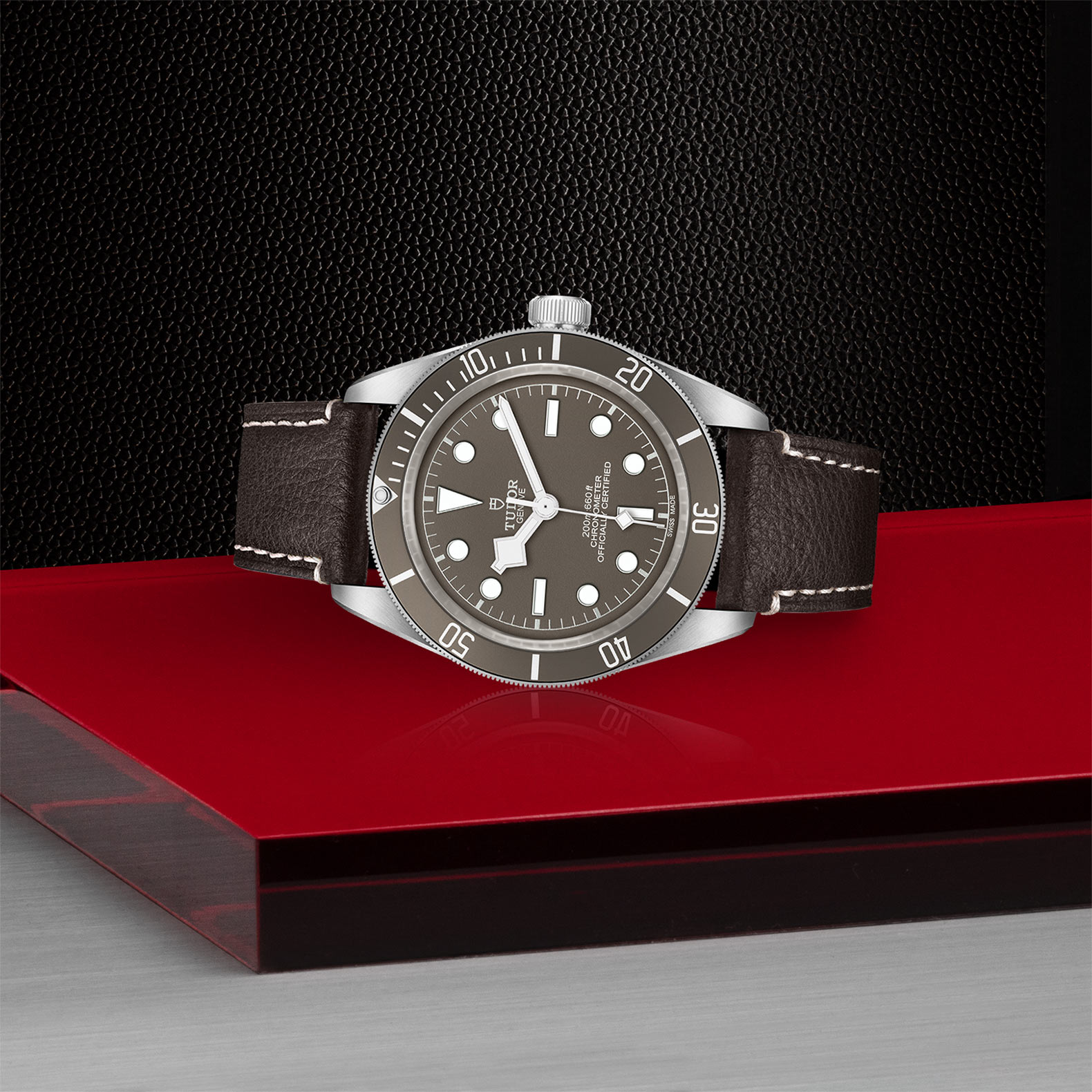 Tudor Black Bay Fifty-Eight 925 39mm, Taupe Dial, Baton Markers_2