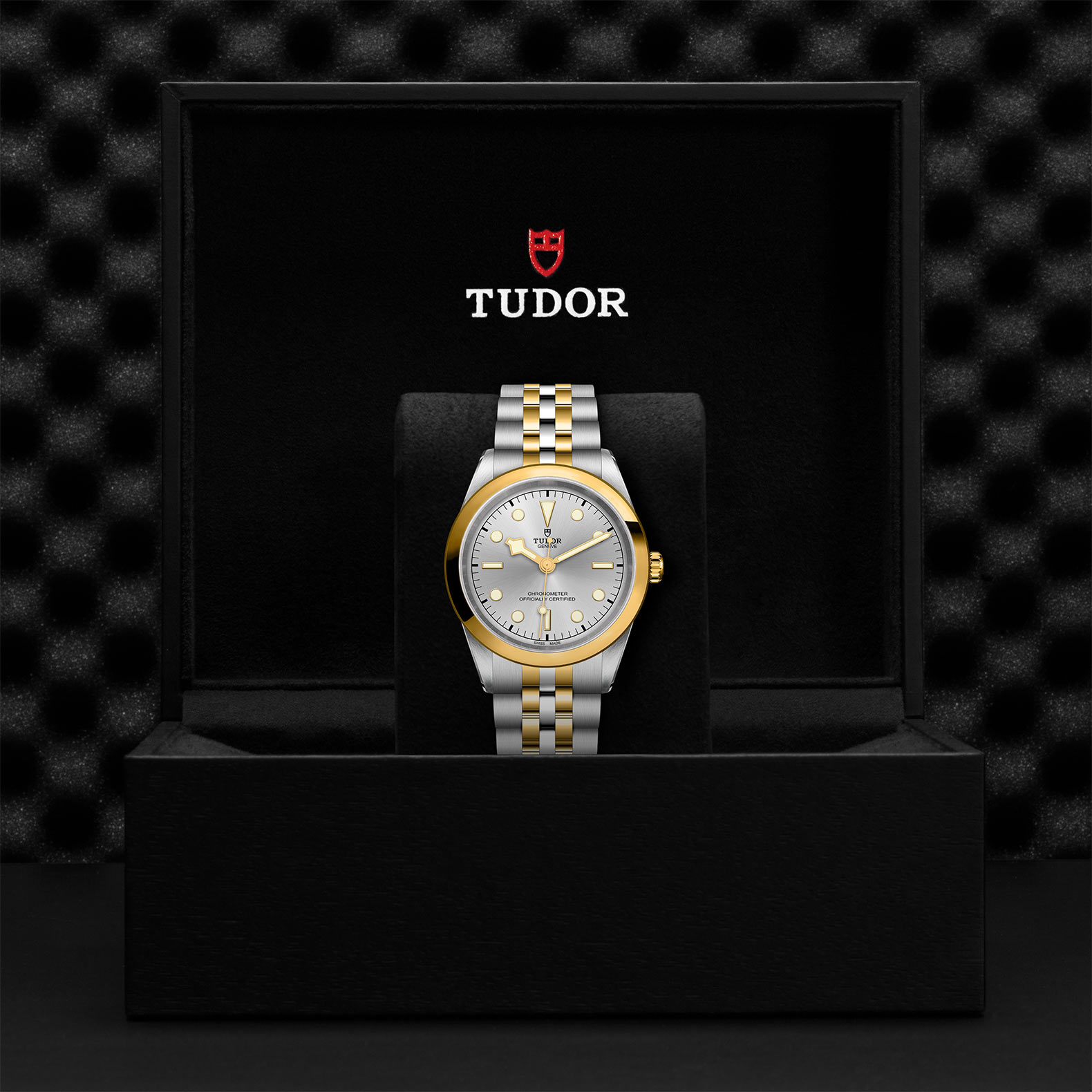 Tudor Black Bay 41 S&G 41mm, Silver Dial, Baton Numerals_3