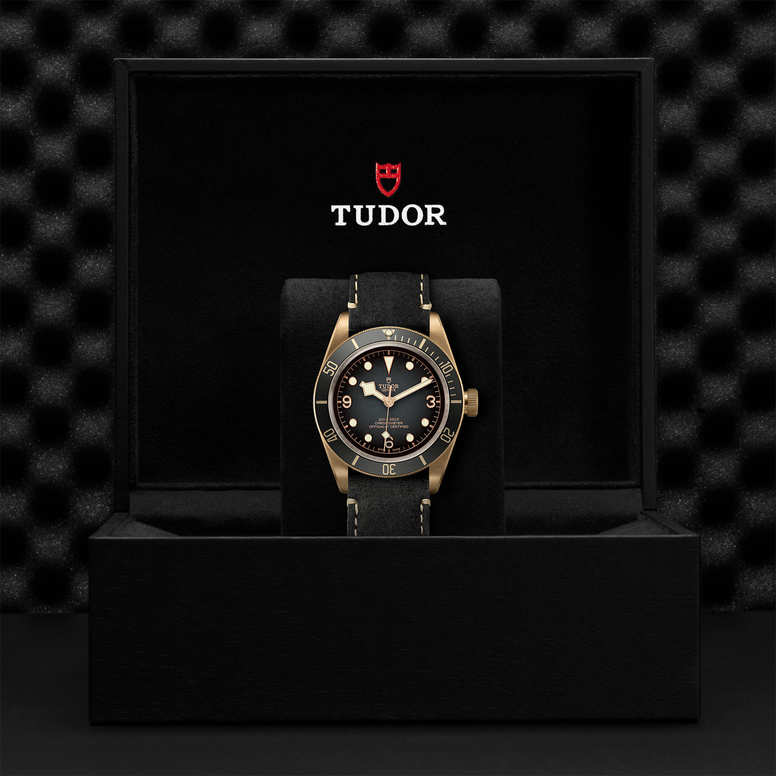 Tudor Black Bay Bronze 43mm. Grey Dial. Arabic/Baton Numerals_3