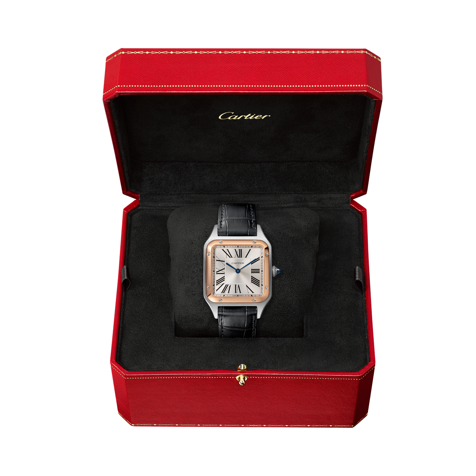 Cartier Santos-Dumont 31.4mm, Silver Dial, Roman Numerals_5