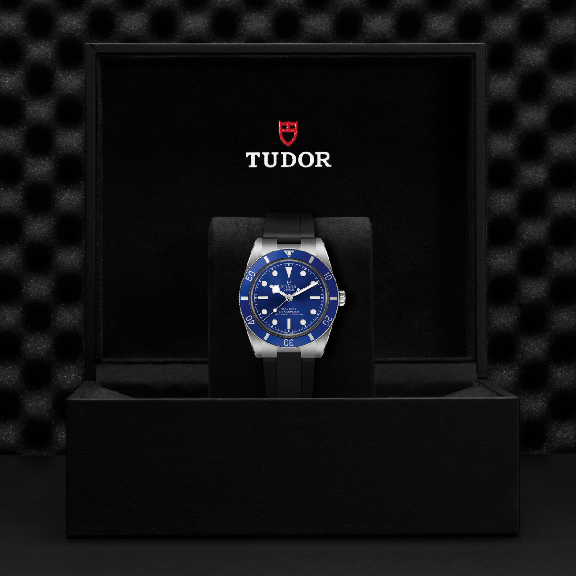 Tudor Black Bay 54 37mm, Blue Dial, Baton/Dot Numerals_4