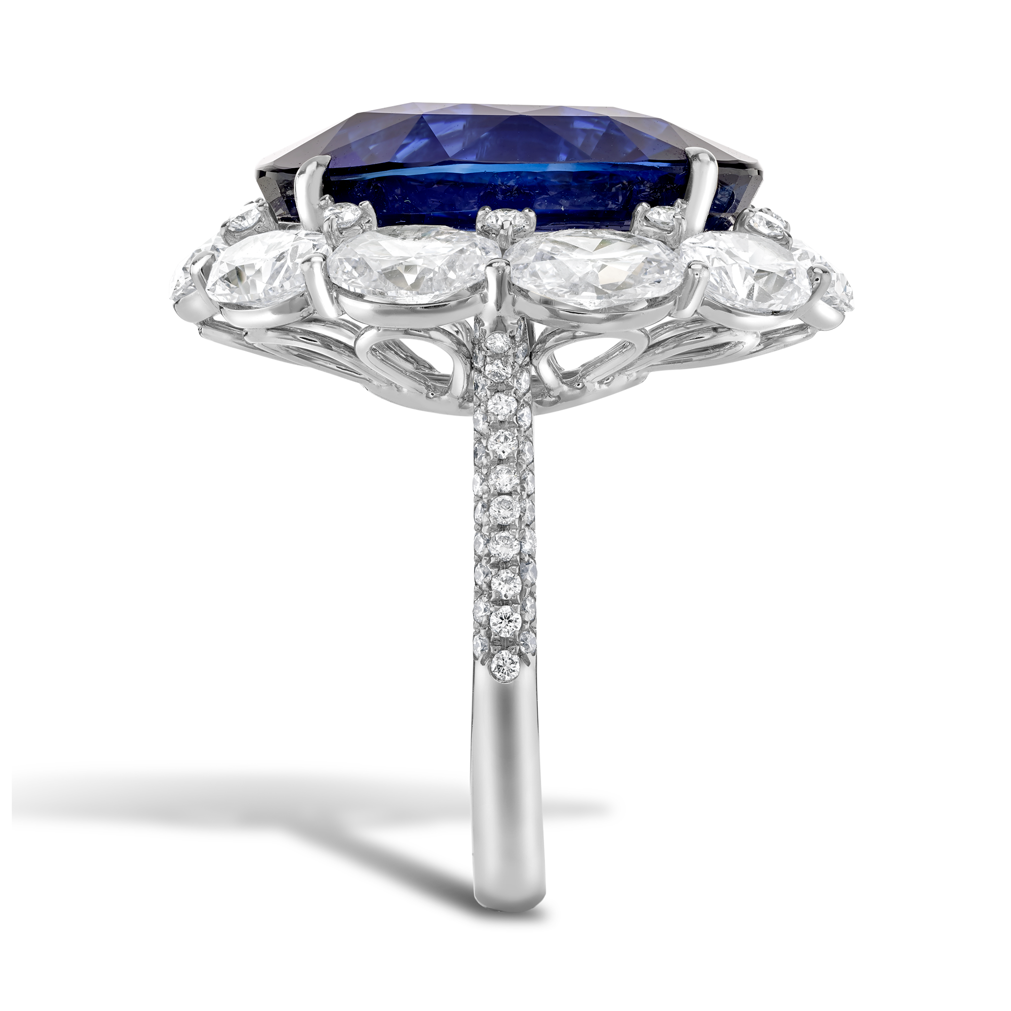Masterpiece Portrait Setting 21.46ct Sri Lankan Sapphire Pendant Oval Cut, Claw Set_4