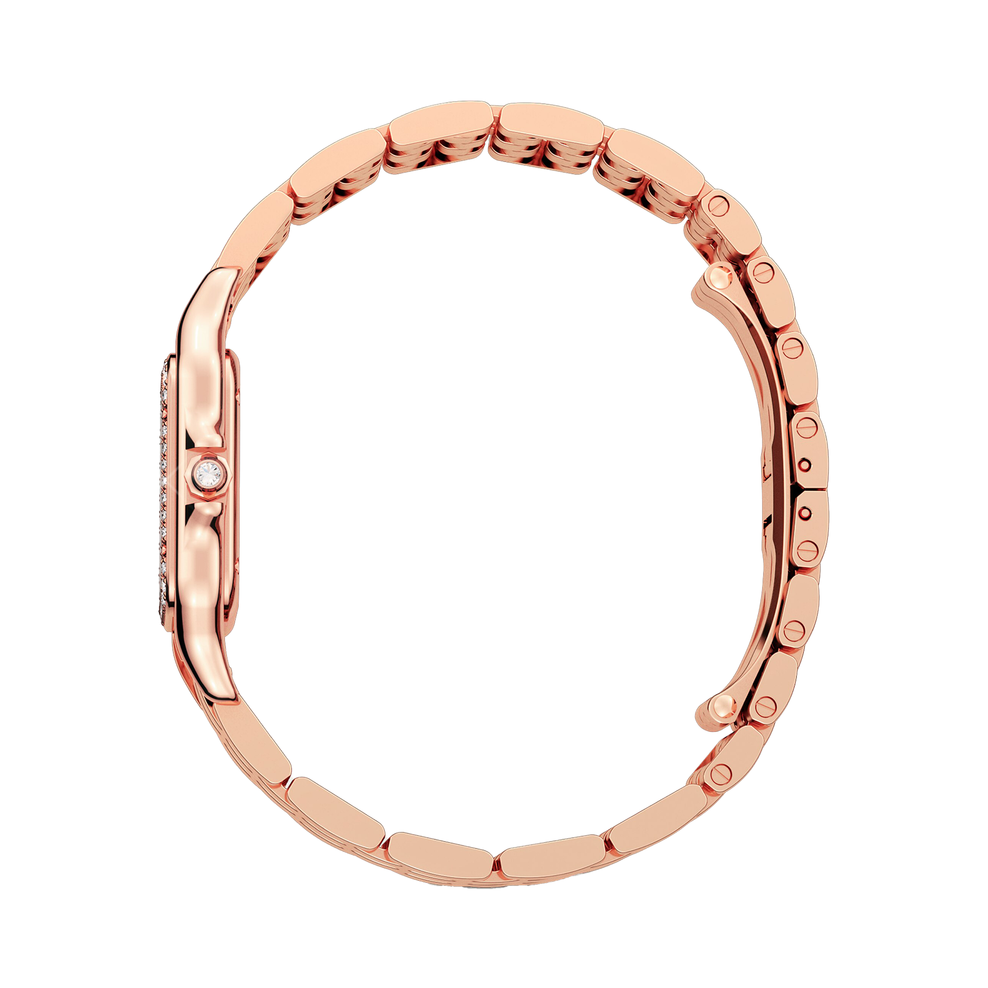 Cartier Panthère de Cartier _3