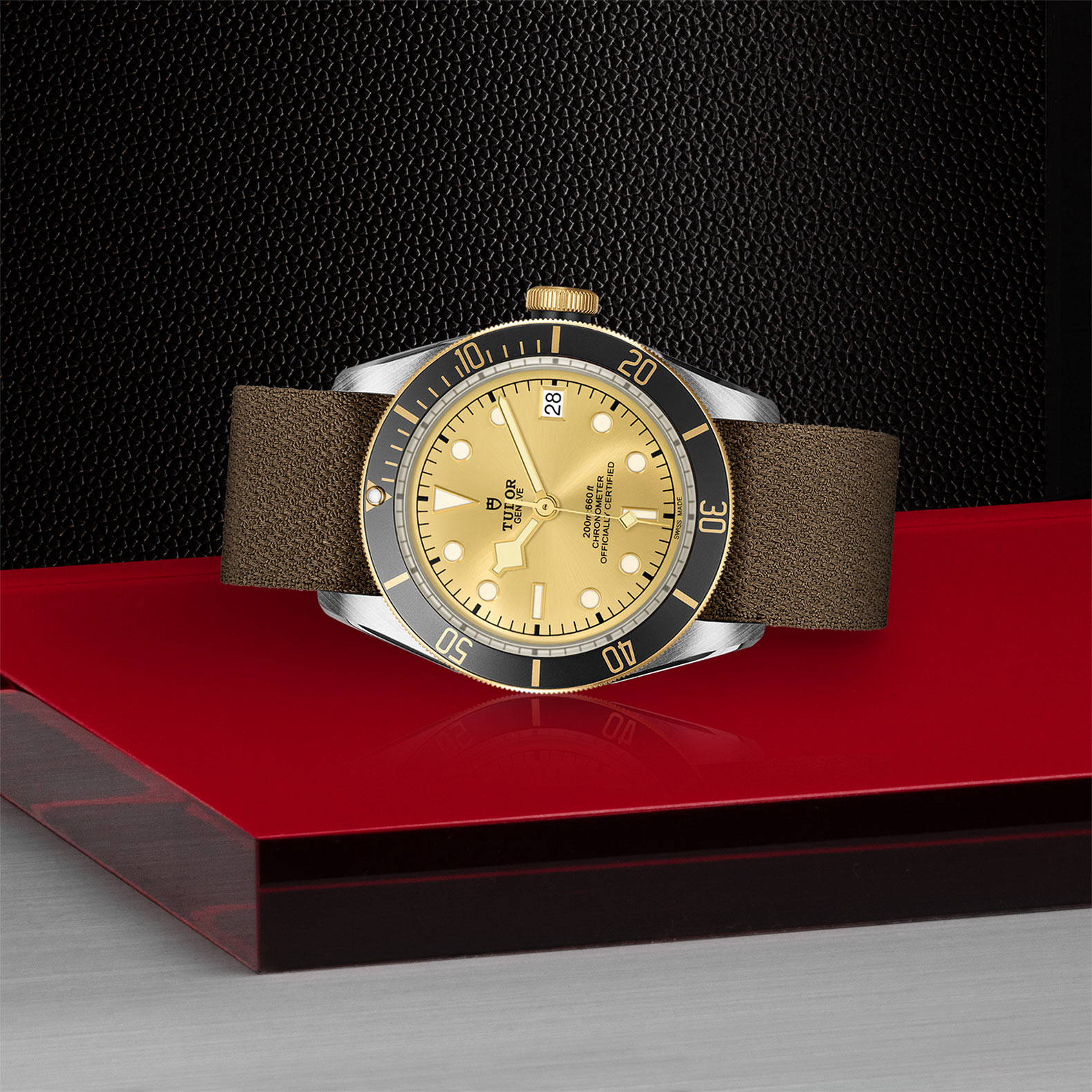 Tudor Black Bay S&G 41mm. Gold Dial. Baton Numerals_2