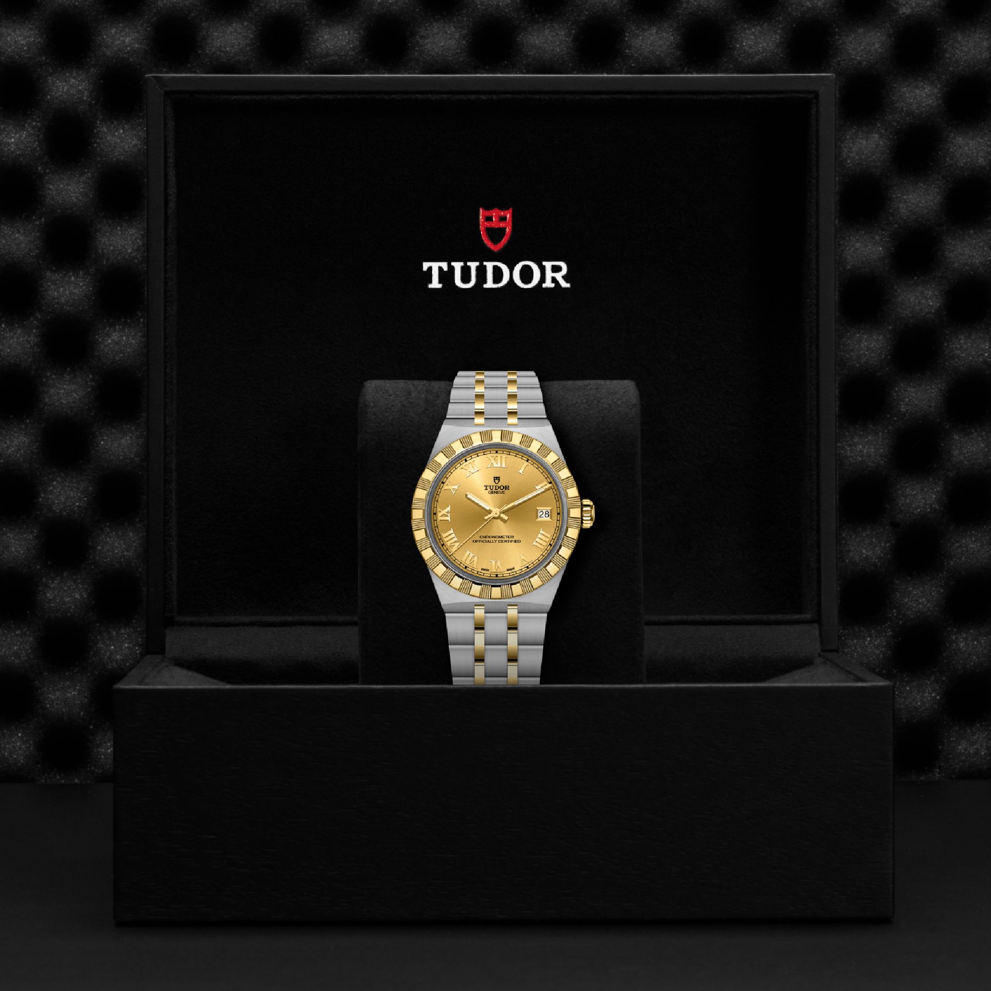 Tudor Royal 36mm, Champagne Dial, Roman Numerals_4
