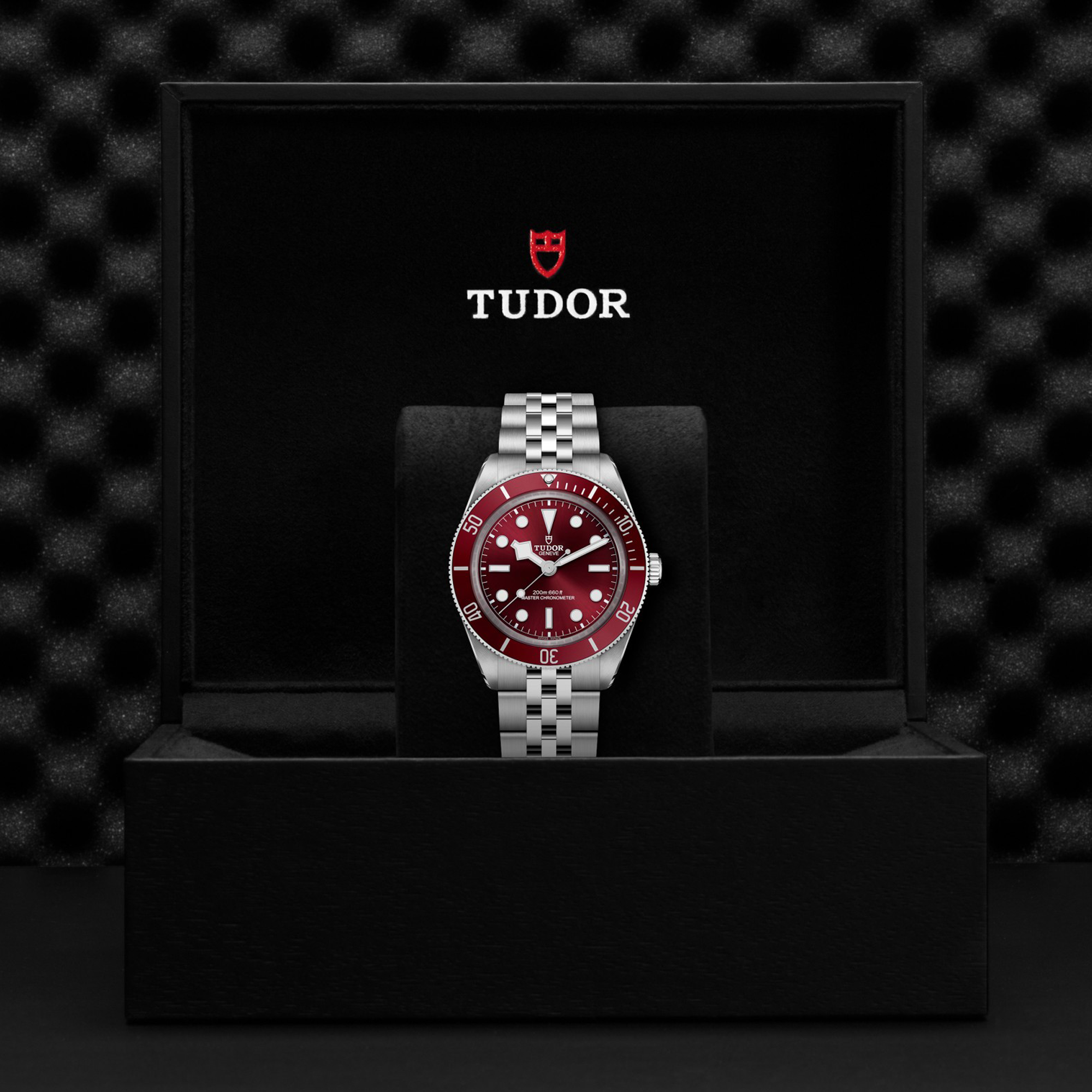 Tudor Black Bay 39mm, Burgundy Dial, Baton Numerals_3
