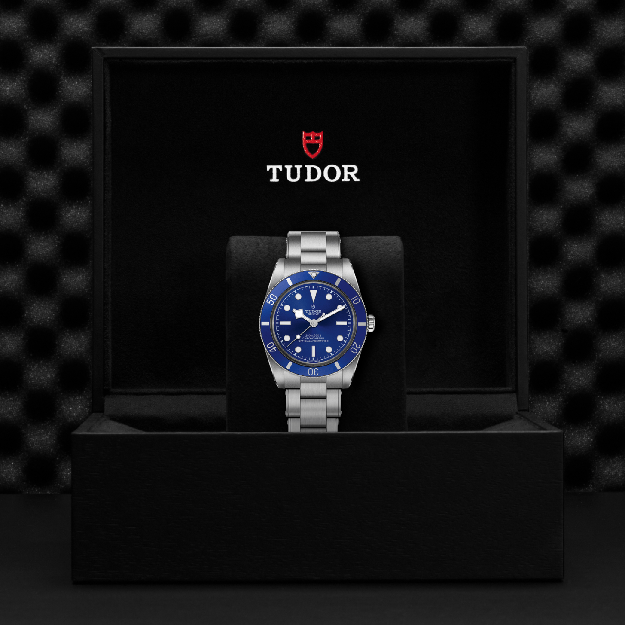 Tudor Black Bay 54 37mm, Blue Dial, Arabic/Baton Numerals_4