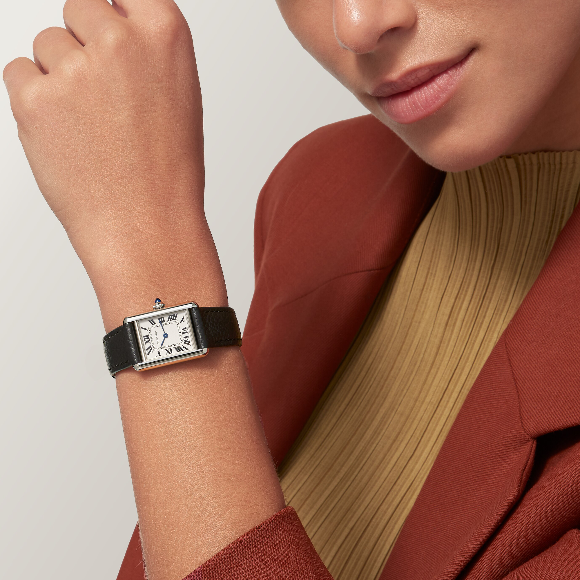 Cartier Tank Must Small, Silver Dial, Roman Numerals_5