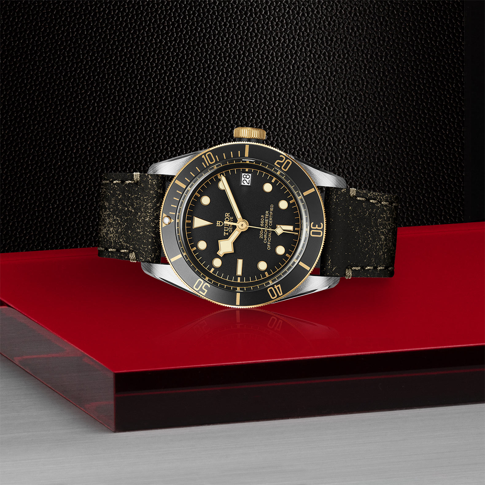 Tudor Black Bay S&G 41mm. Black Dial. Baton Numerals_2