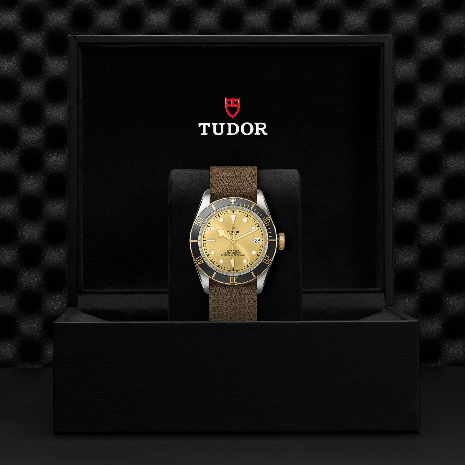 Tudor Black Bay S&G 41mm. Gold Dial. Baton Numerals_3