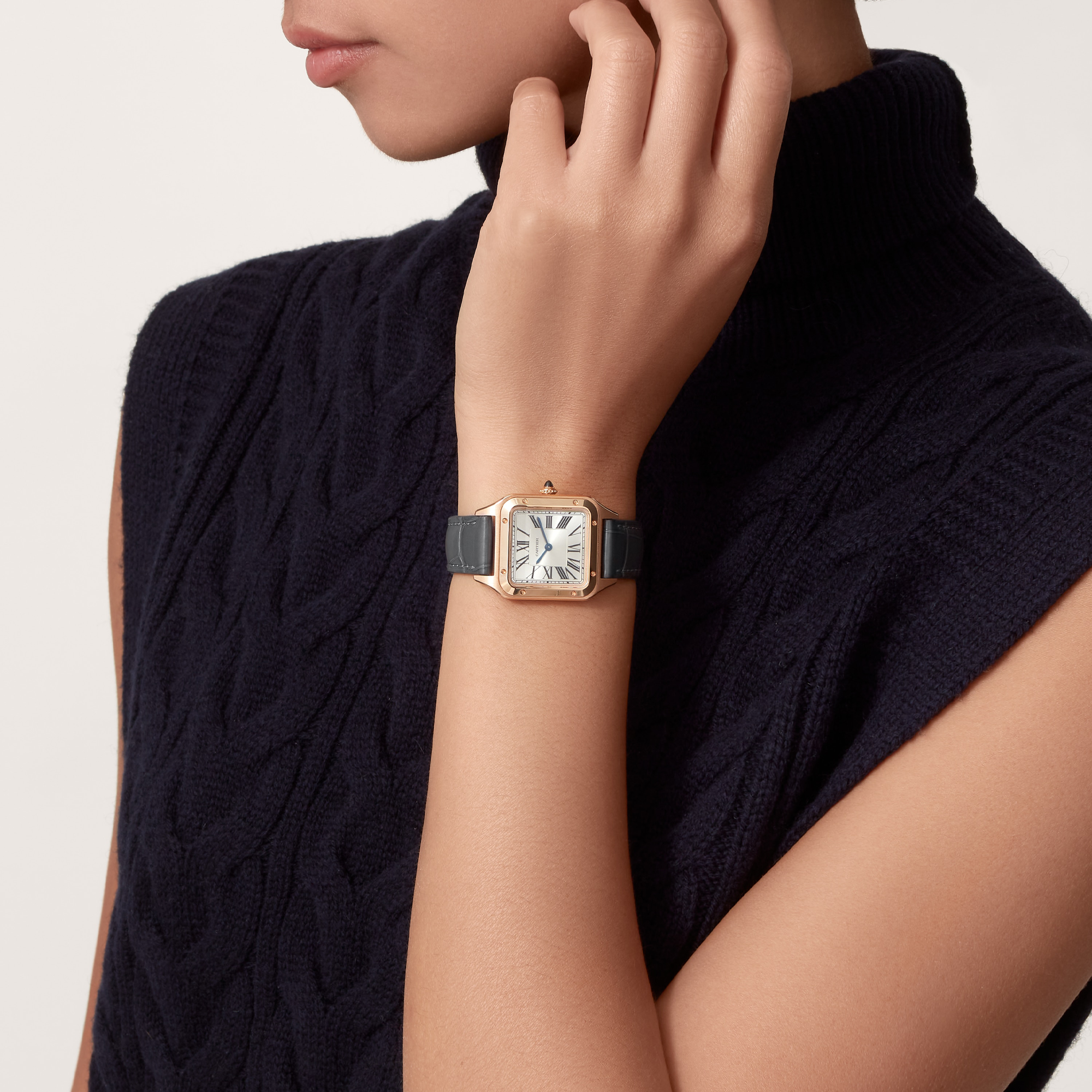 Cartier Santos de Cartier 27.5mm, Silver Dial, Roman Numerals_10