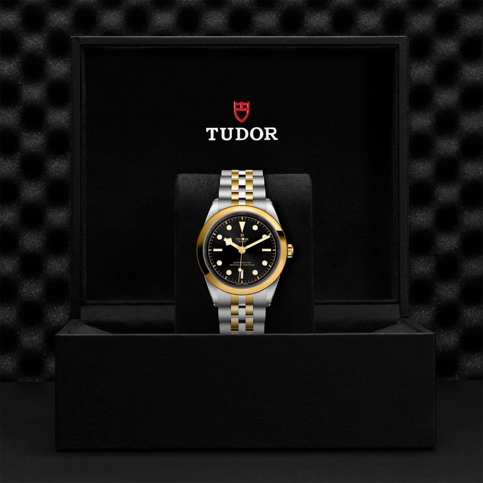 Tudor Black Bay 41 S&G 41mm, Black Dial, Baton Numerals_3