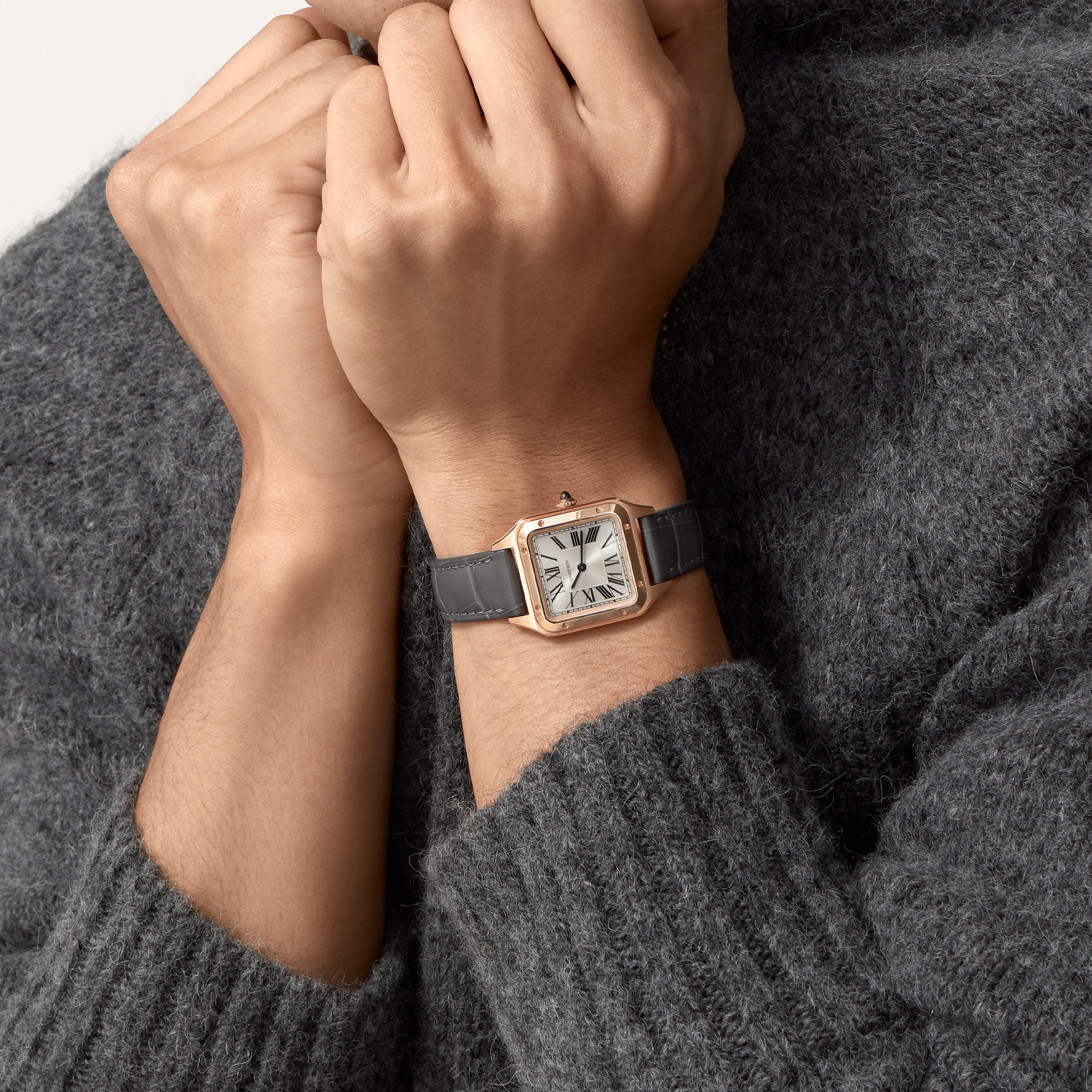 Cartier Santos de Cartier 27.5mm, Silver Dial, Roman Numerals_7