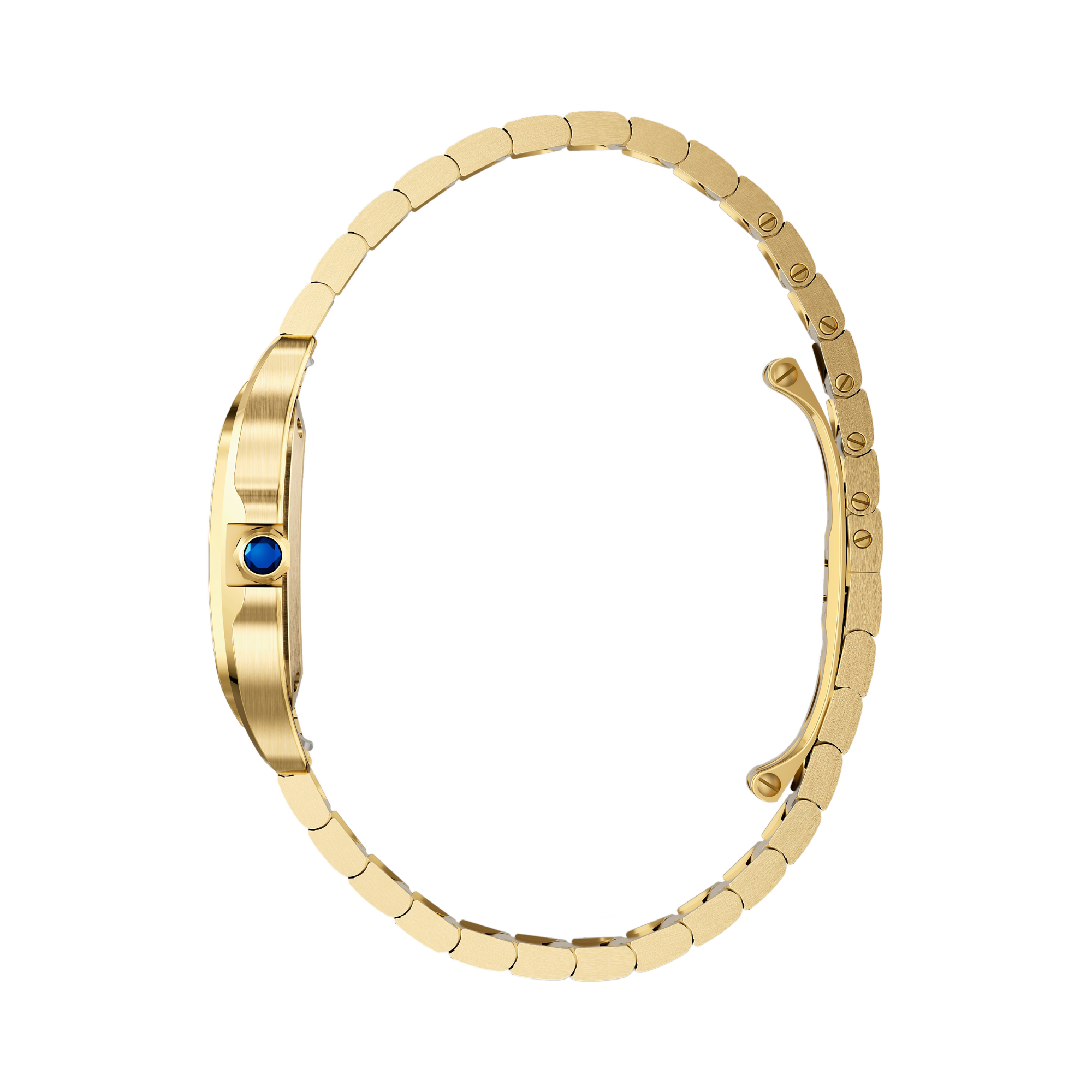 Cartier Santos de Cartier Small, Silver Dial, Roman Numerals_4