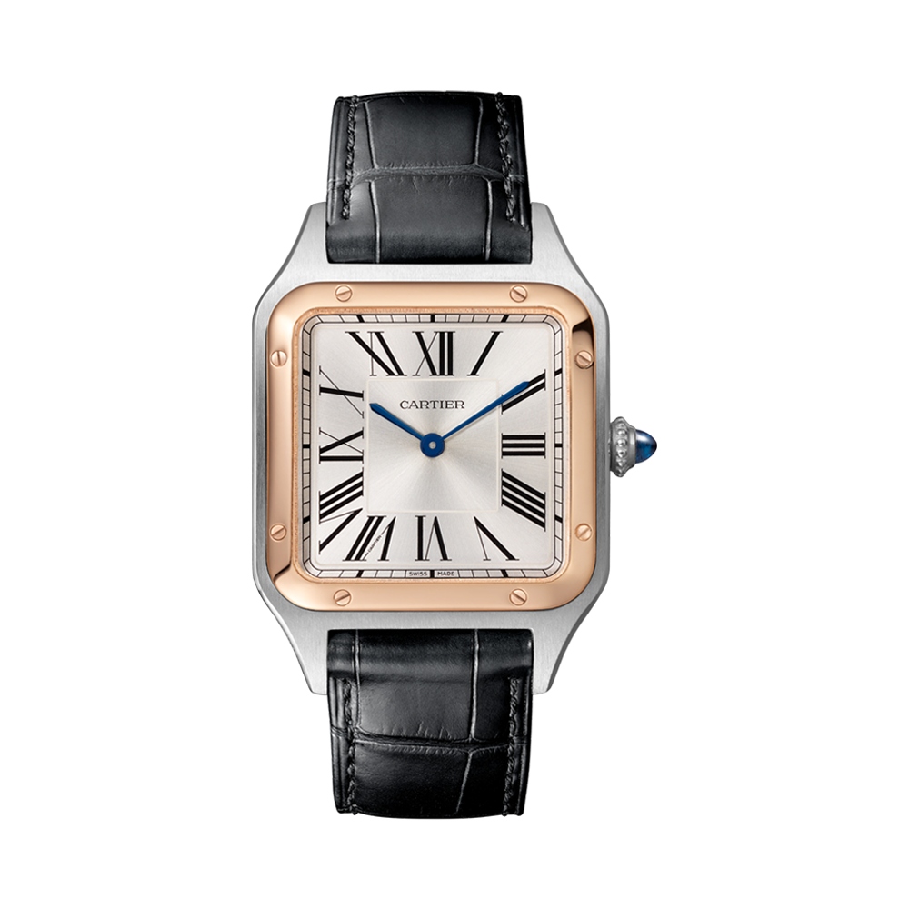 Cartier Santos-Dumont 31.4mm, Silver Dial, Roman Numerals_1