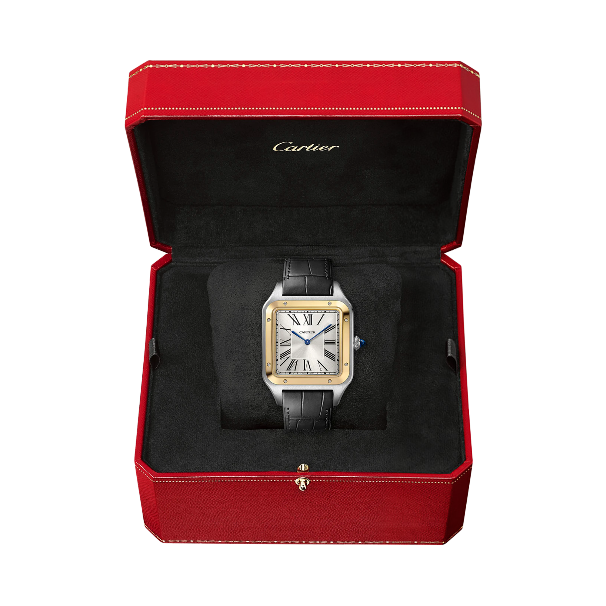 Cartier Santos-Dumont Extra-Large, Silver Dial, Roman Numerals_5