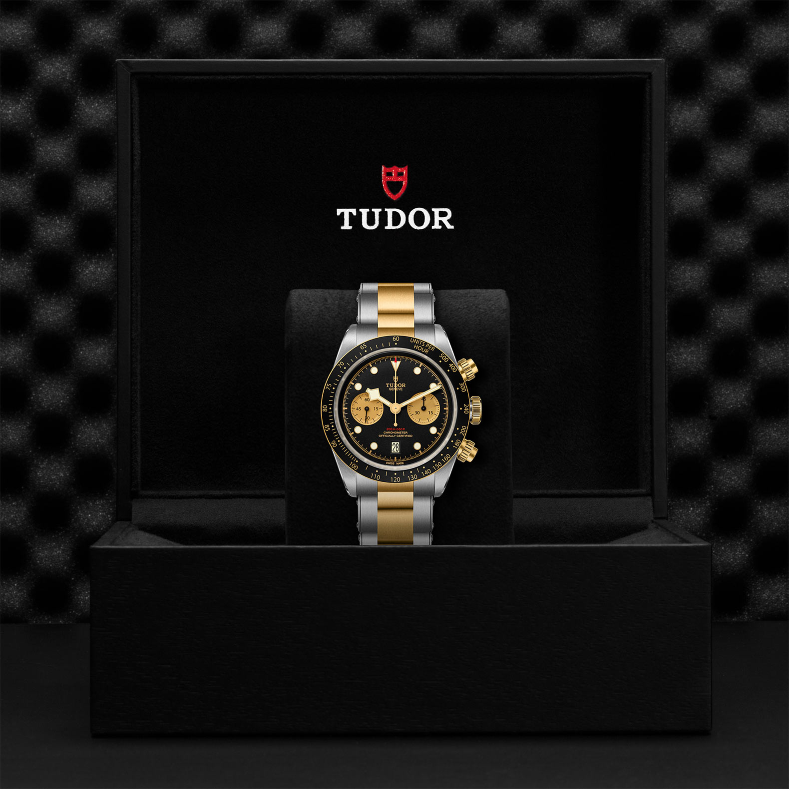 Tudor Black Bay Chrono S&G 41mm. Black-Champagne Dial. Baton Numerals_3