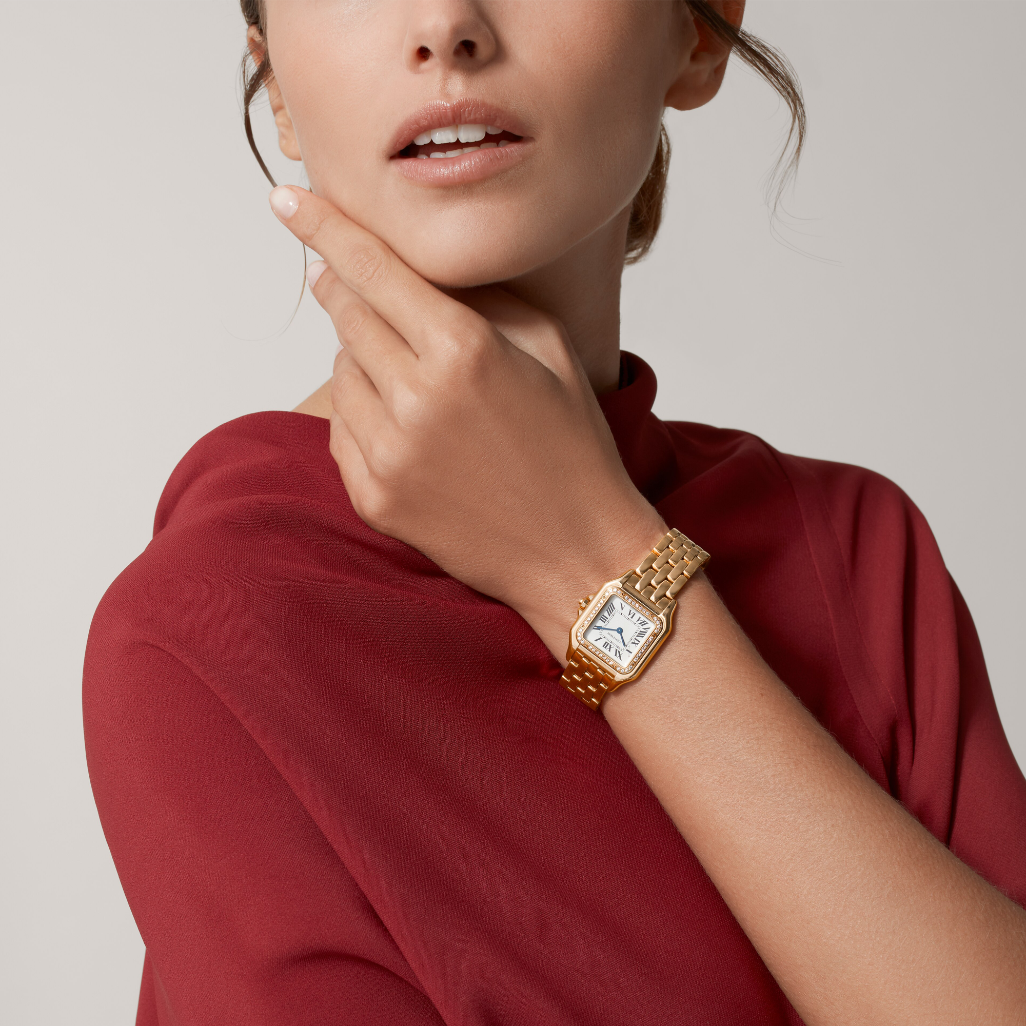 Cartier Panthère de Cartier _10