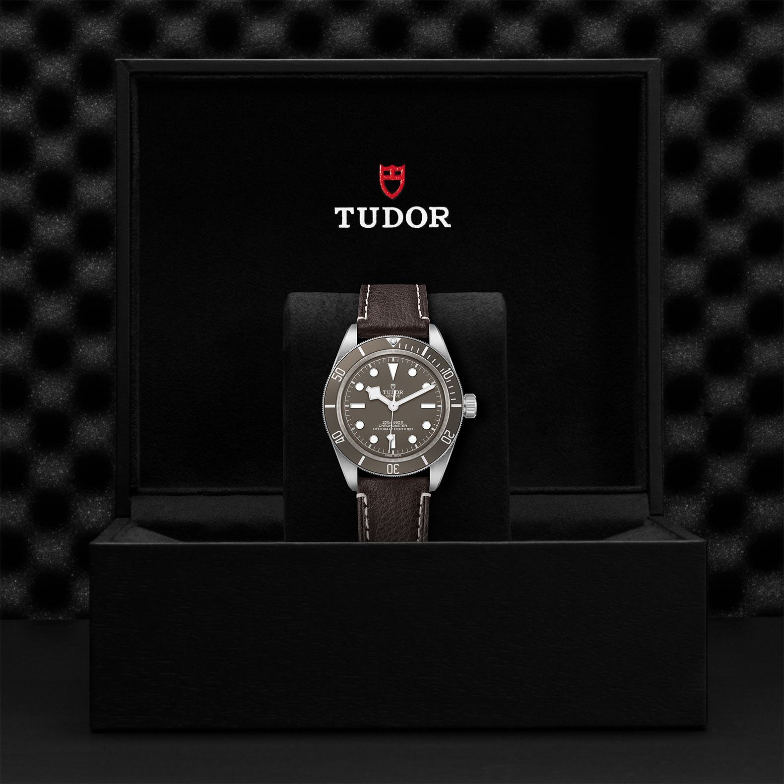 Tudor Black Bay Fifty-Eight 925 39mm, Taupe Dial, Baton Markers_3