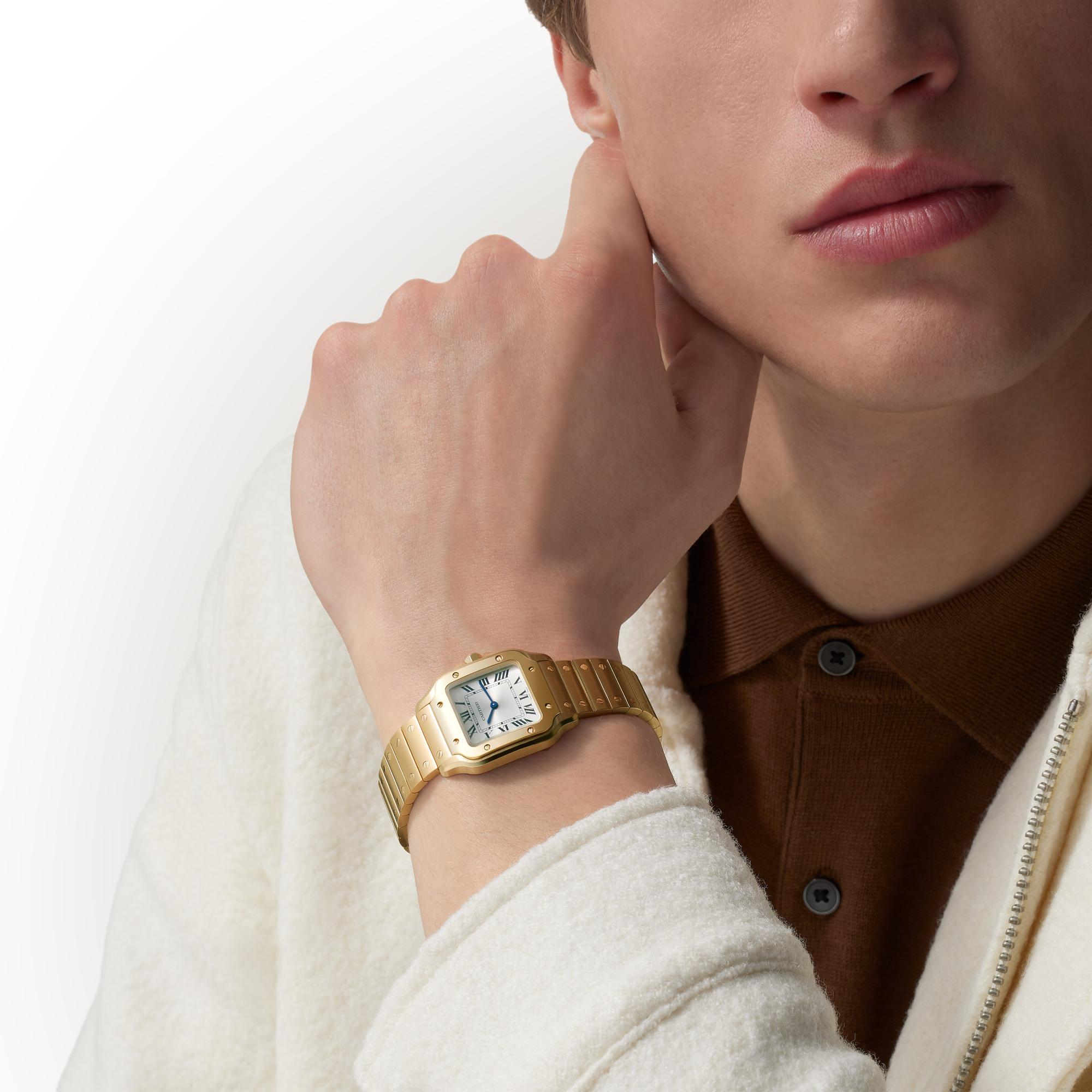Cartier Santos de Cartier Small, Silver Dial, Roman Numerals_10