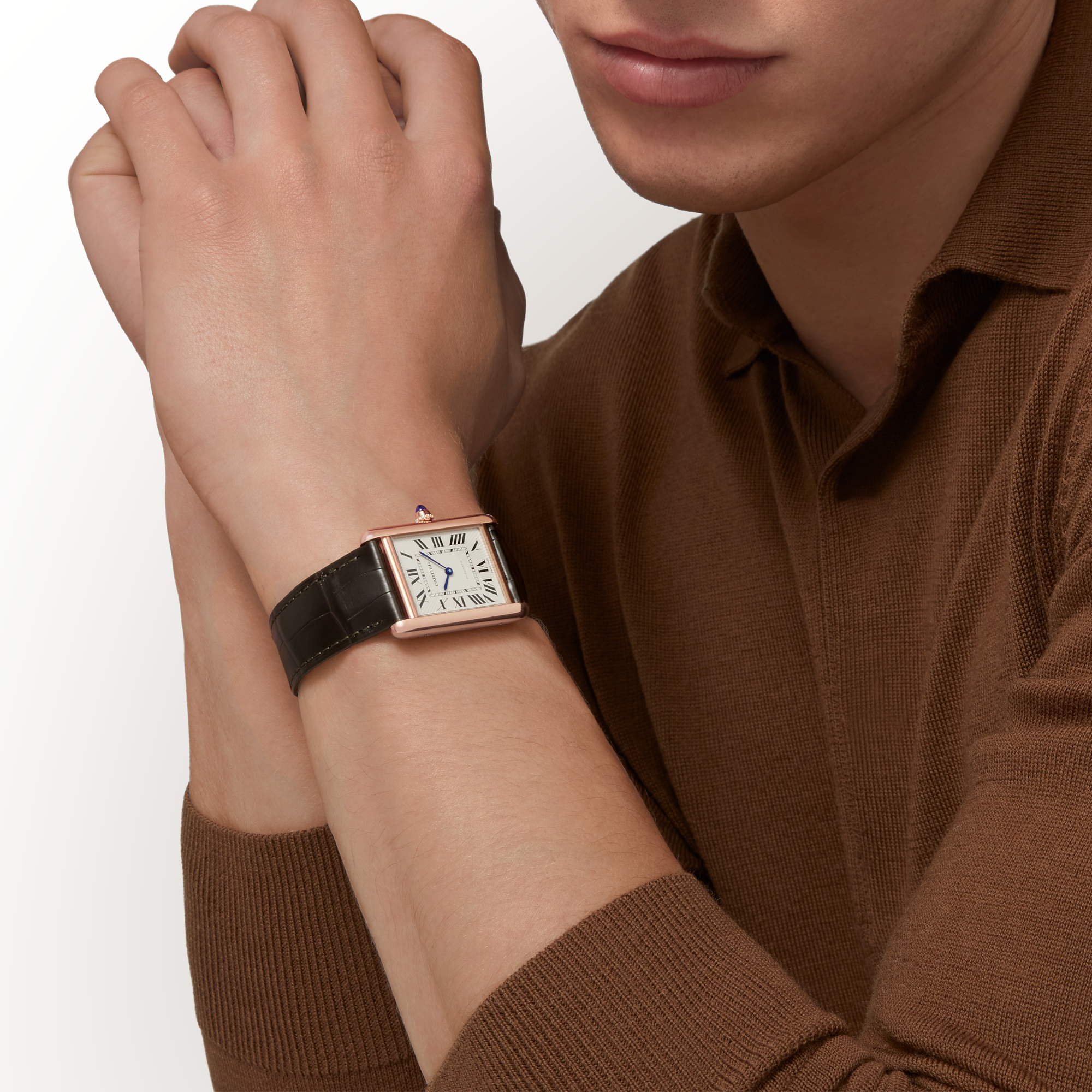 Cartier Tank Louise XL Large, Silver Dial, Roman Numerals_10