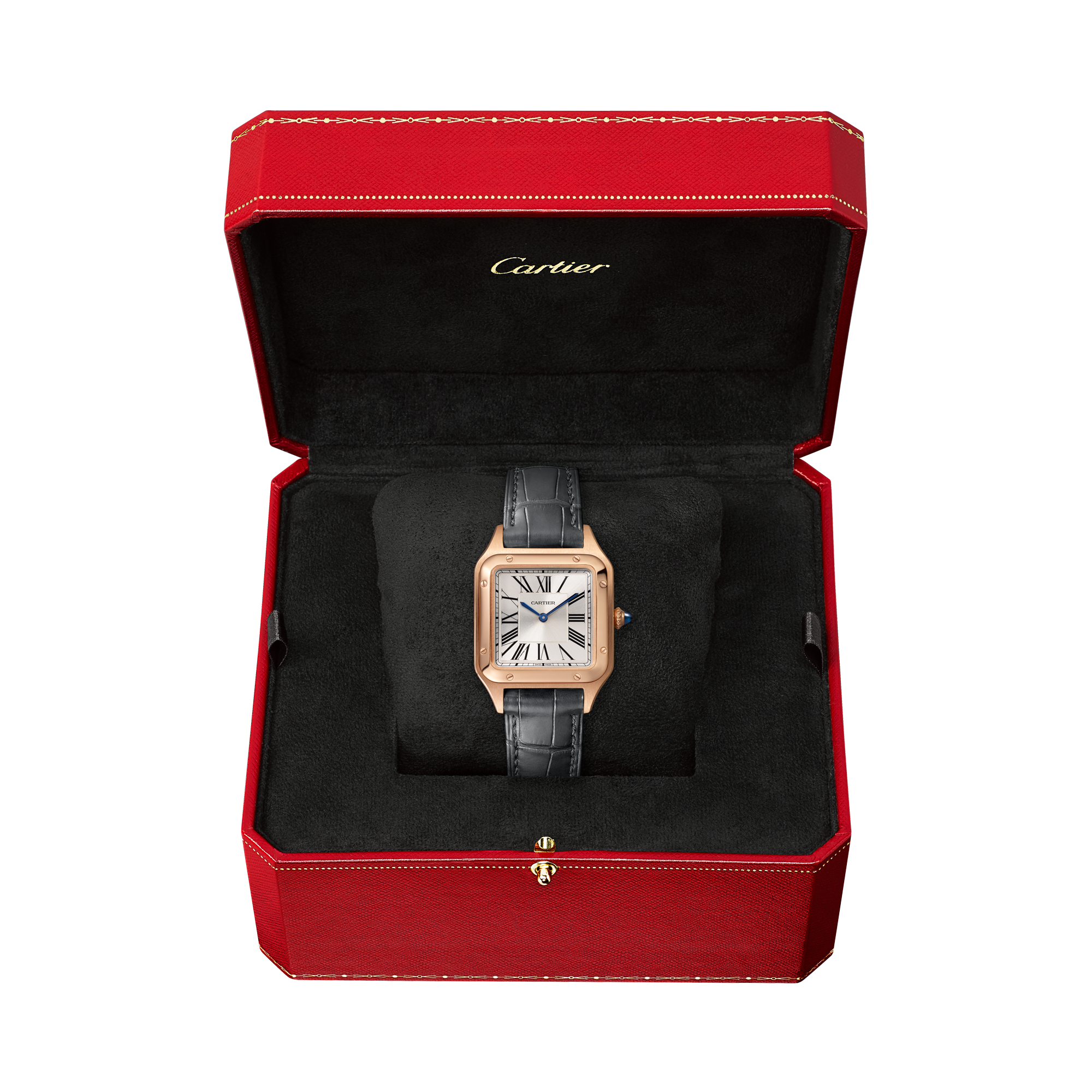 Cartier Santos de Cartier 27.5mm, Silver Dial, Roman Numerals_6