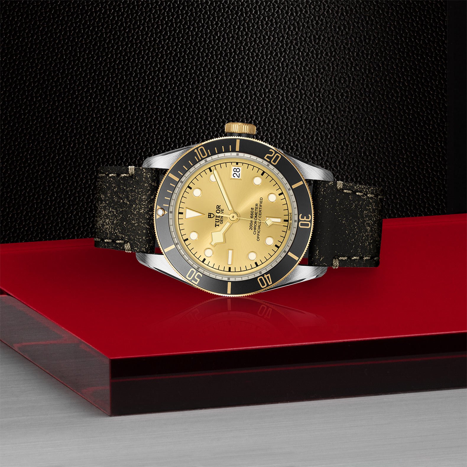 Tudor Black Bay S&G 41mm. Gold Dial. Baton Numerals_2