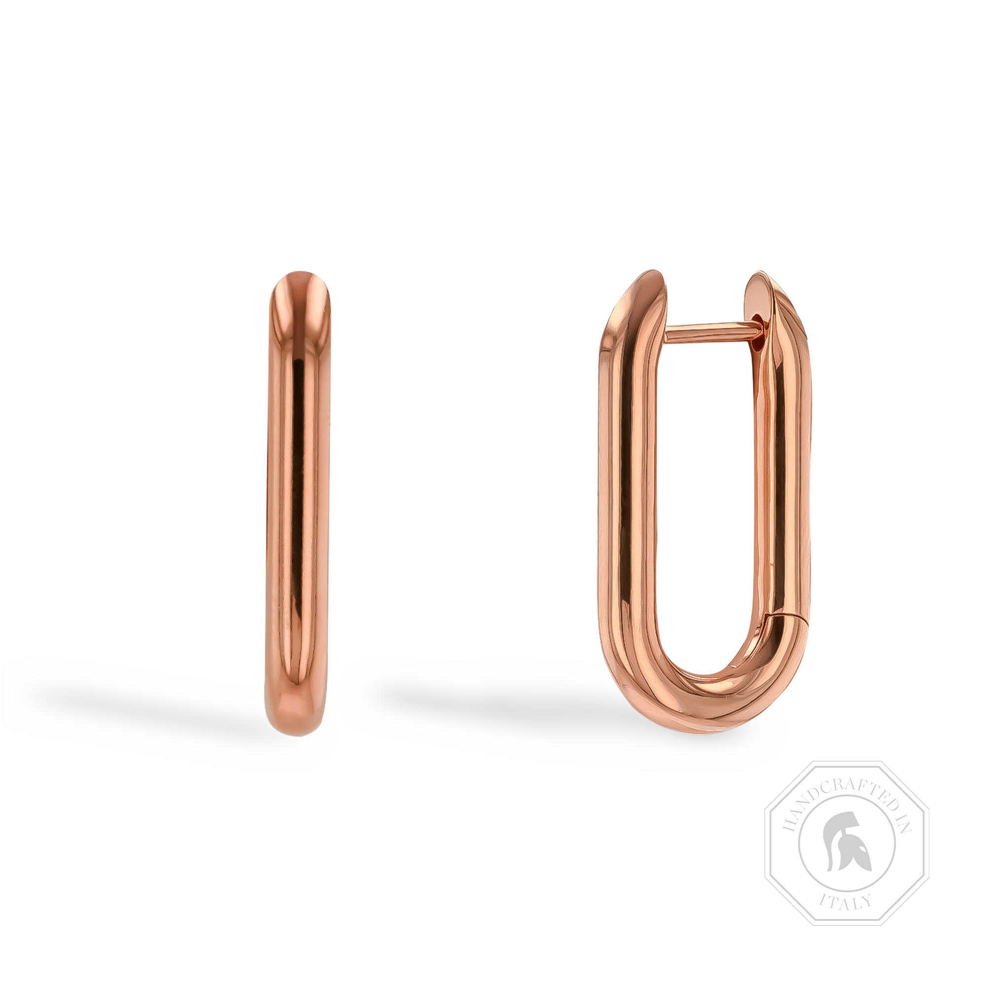 Havana Gold Oval Hoop Earrings _1
