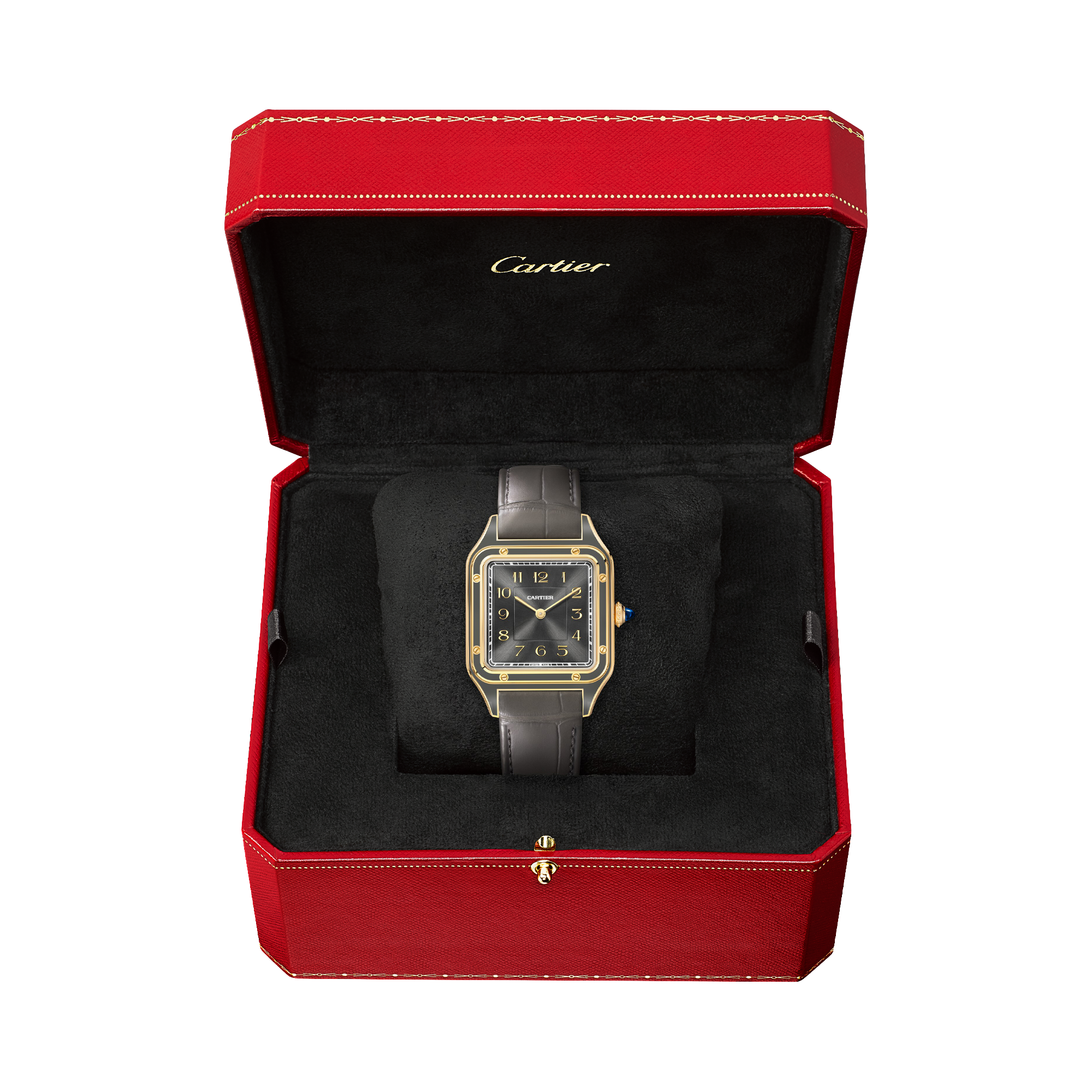 Cartier Santos-Dumont 31.4mm, GreyDial, Arabic Numerals_5