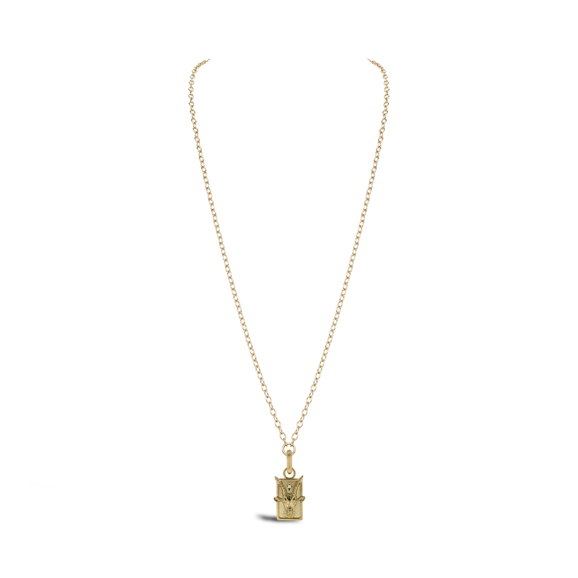 Zodiac Diamond Capricorn Pendant Charm Brilliant cut, Claw set_3