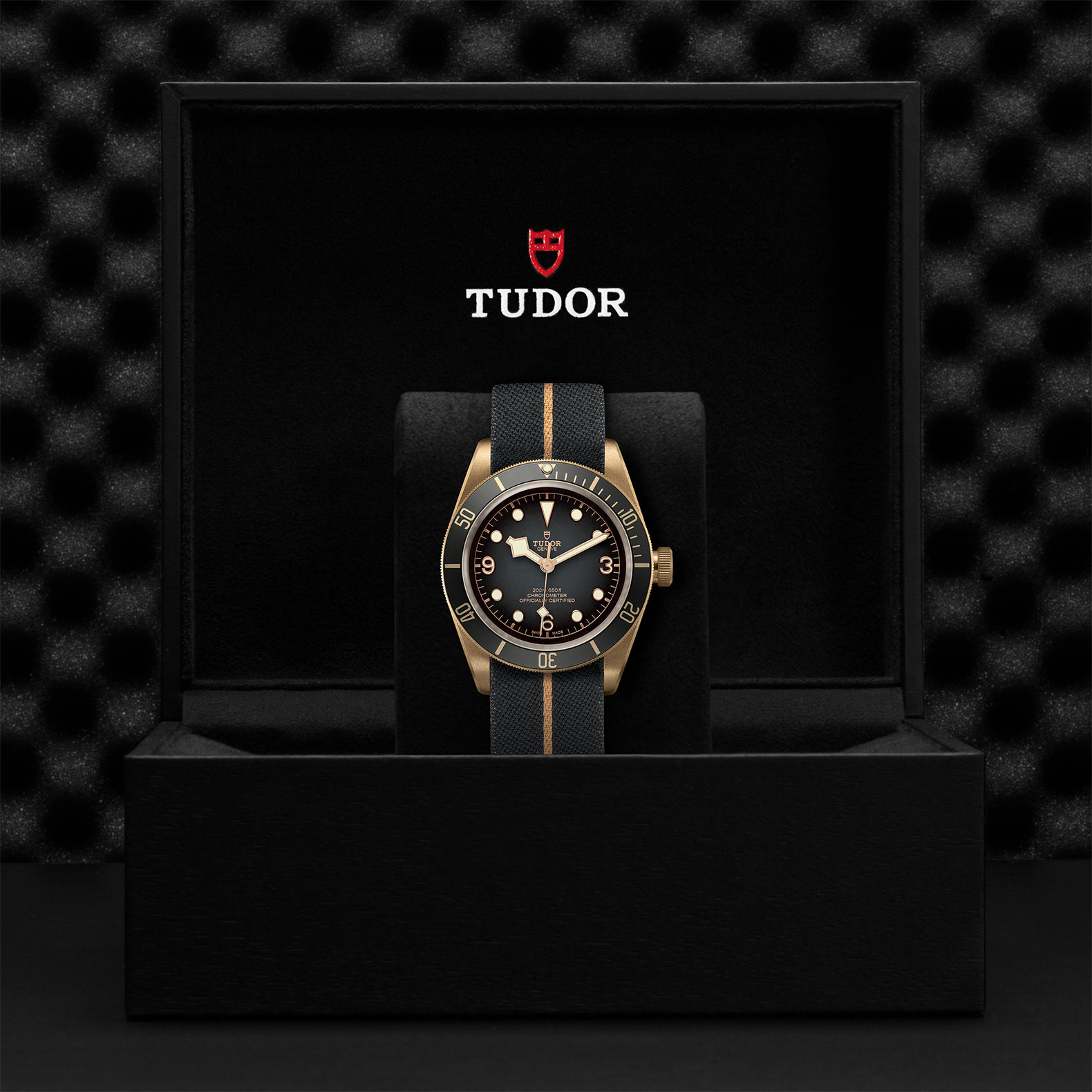 Tudor Black Bay Bronze 43mm. Grey Dial. Arabic/Baton Numerals_3