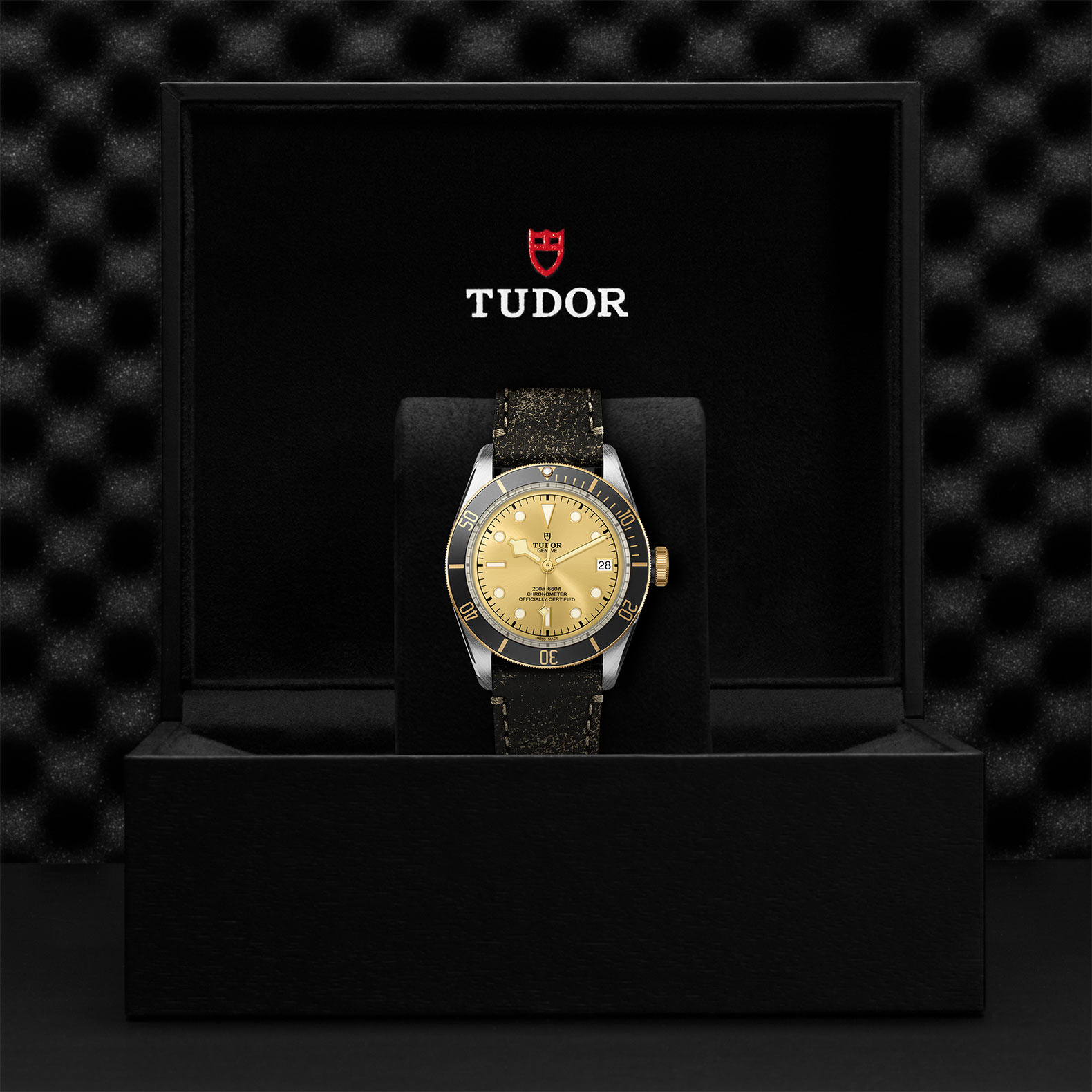 Tudor Black Bay S&G 41mm. Gold Dial. Baton Numerals_3